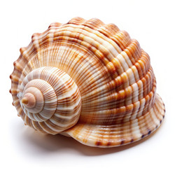 Similar image 22625198