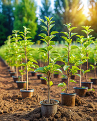 Similar image 22625965