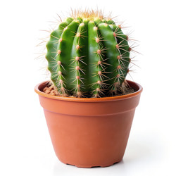 Similar image 22626967