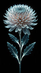 Similar image 22627014