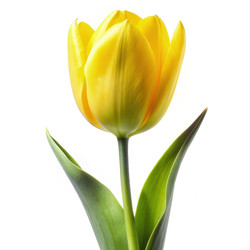 Similar image 22627059