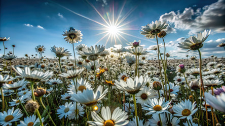 Similar image 22627104