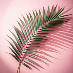 Similar image 22627299