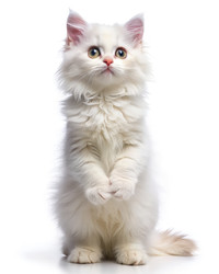 Similar image 22627538