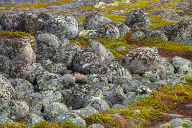 Similar image 22632190