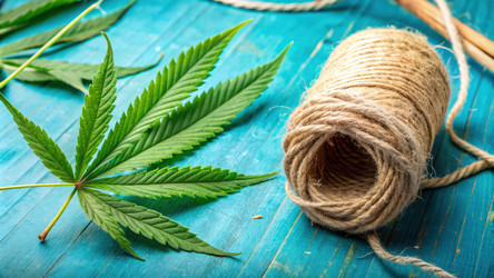 Similar image 22624210