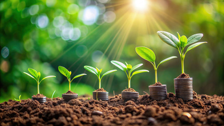 Similar image 22624285