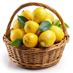 Similar image 22624779