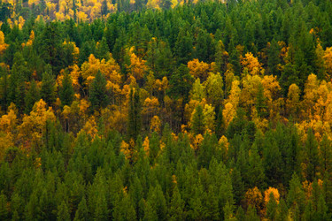 Similar image 22632192