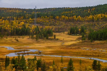 Similar image 22632200