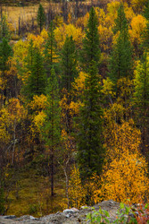 Similar image 22632202