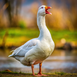 Similar image 22625604