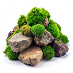 Similar image 22627331