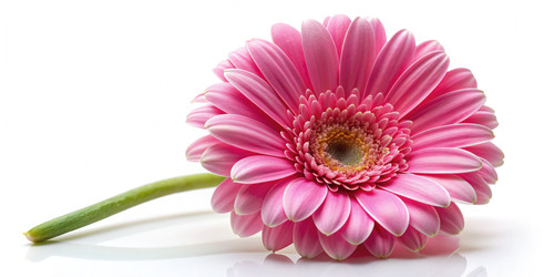 Similar image 22627493