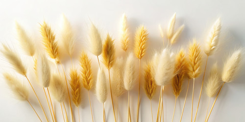 Similar image 22624092