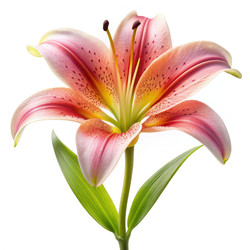 Similar image 22624317