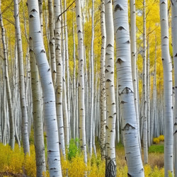 Similar image 22624811