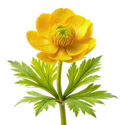 Similar image 22627016