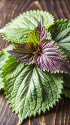 Similar image 22627347