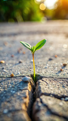 Similar image 22623464