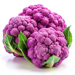 Similar image 22623524