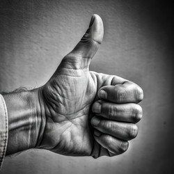 Similar image 22623718