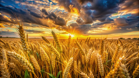 Similar image 22624077