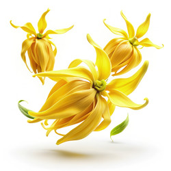 Similar image 22624378