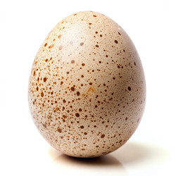 Similar image 22625938