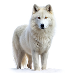 Similar image 22627093