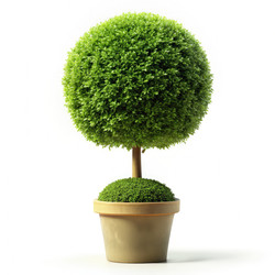 Similar image 22627183