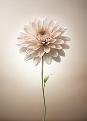 Similar image 22623000