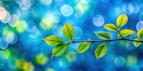 Similar image 22623479