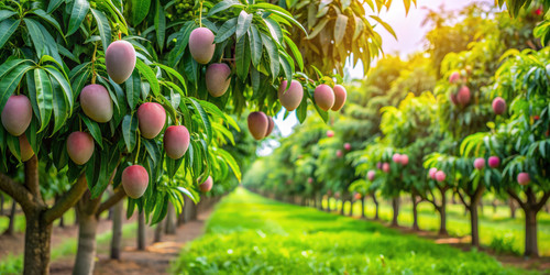 Similar image 22624767