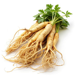 Similar image 22625788