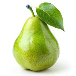 Similar image 22627455