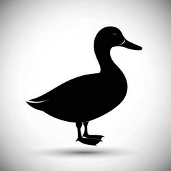 Similar image 22623780