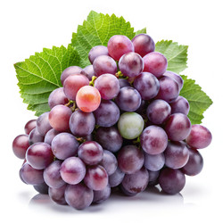 Similar image 22624216