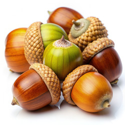 Similar image 22624426