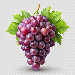 Similar image 22624753