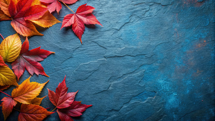 Similar image 22626045