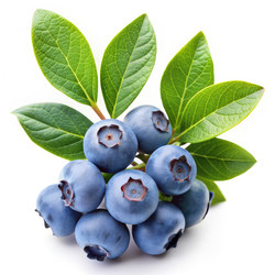 Similar image 22627499