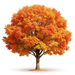 Similar image 22623870