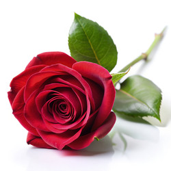 Similar image 22625941