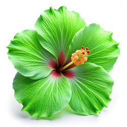 Similar image 22626090