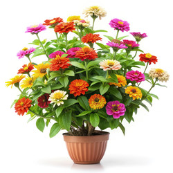 Similar image 22627126