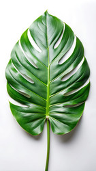 Similar image 22627366