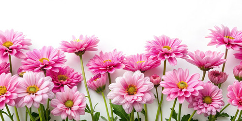 Similar image 22627546