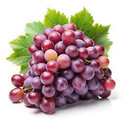 Similar image 22623449