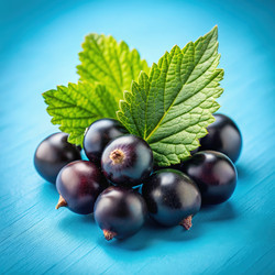 Similar image 22623902